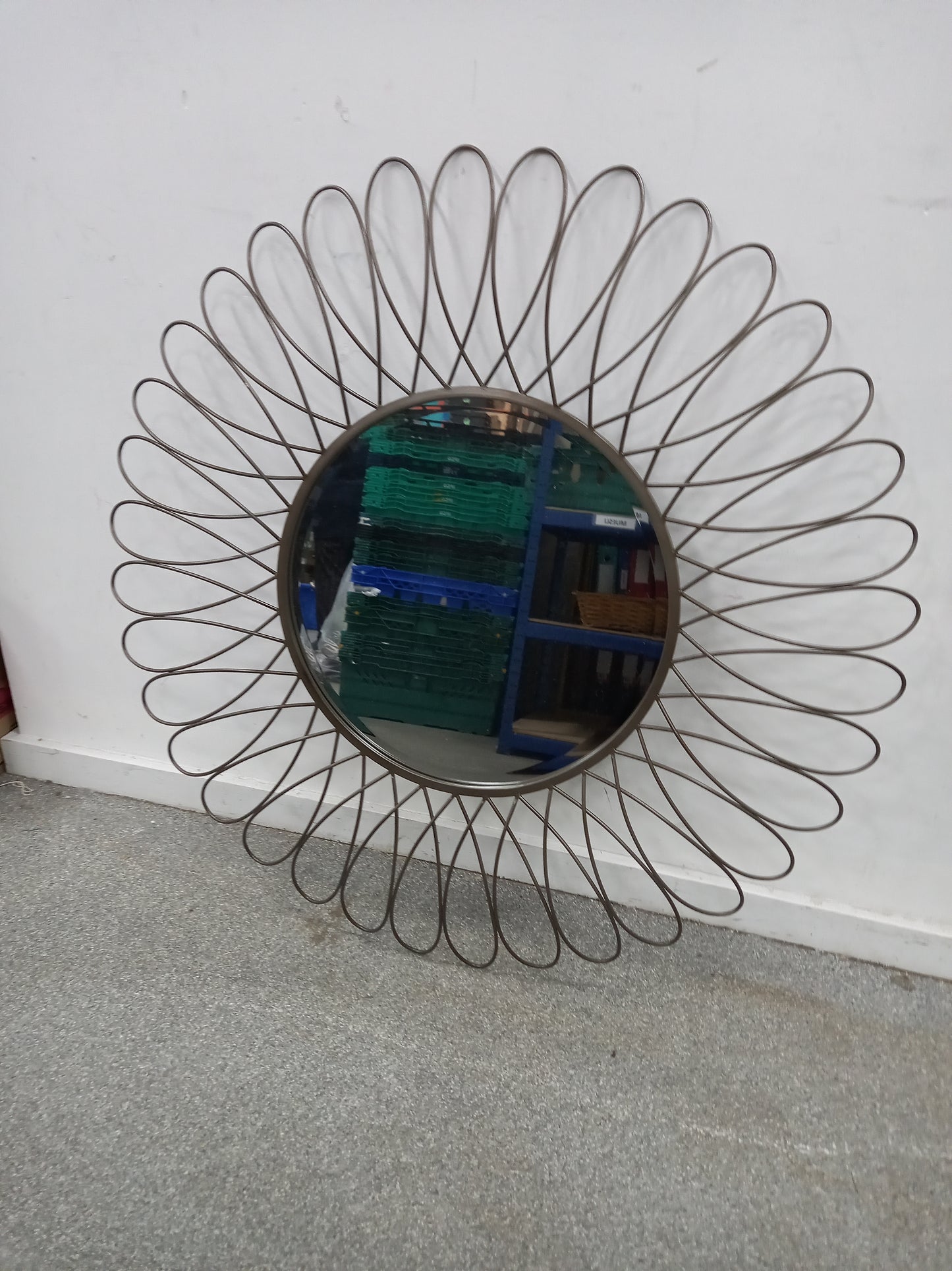 Large Mirror (030116)